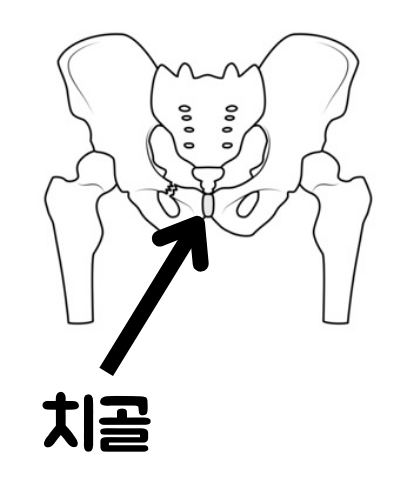 dbe835f26d697b2a98ee20ed534b9842_1740399521_2459.png