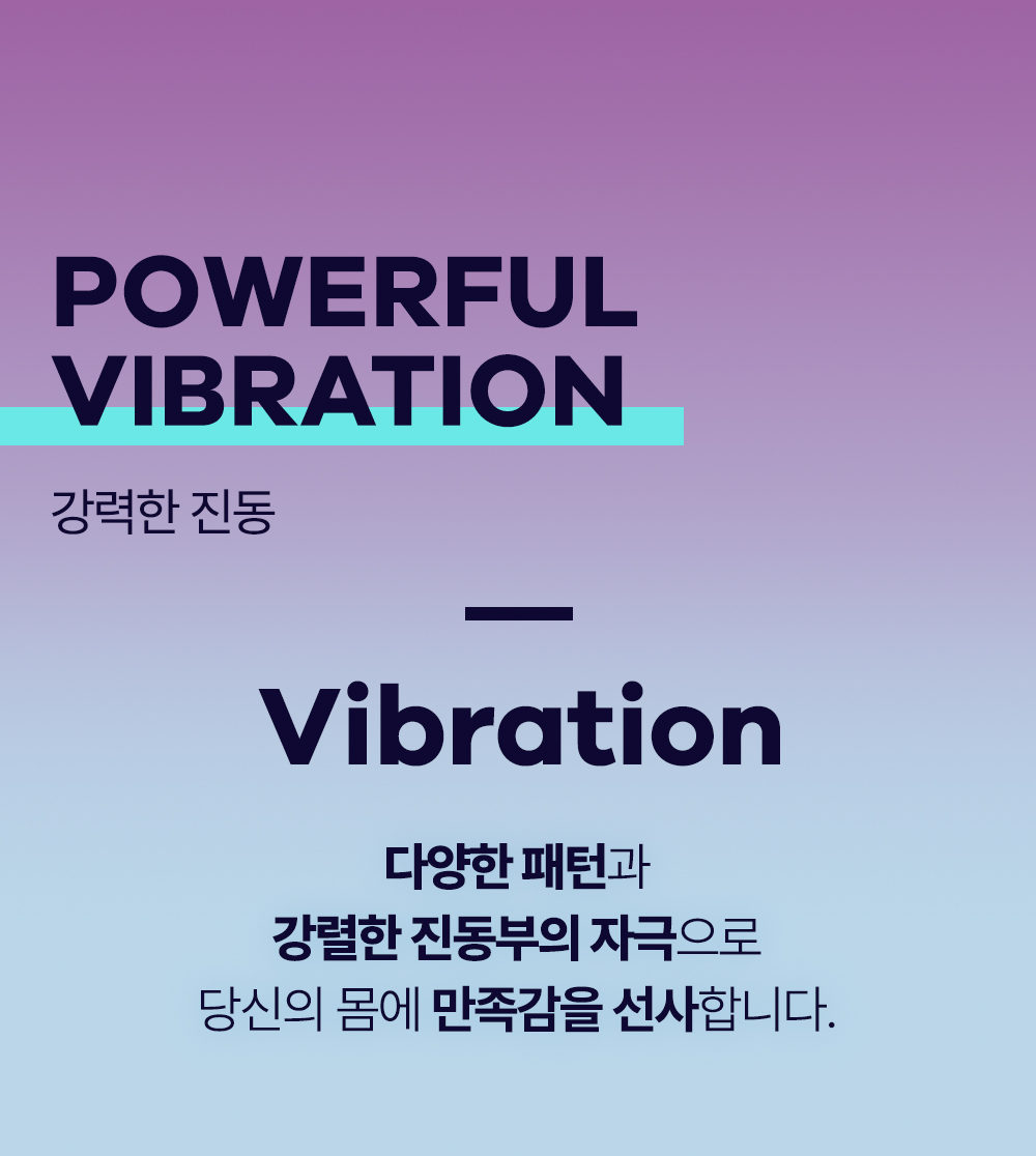 에어펌프 바이브레이터2 AIR PUMP VIBRATOR 2 상세 이미지 2
