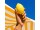 롬프 레몬 LEMON 이미지 1 썸네일
