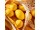 롬프 레몬 LEMON 이미지 7 썸네일