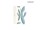 스바콤 치카 이미지 2 썸네일