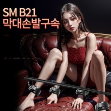 나비 SM B21 막대손발구속 (NABI)