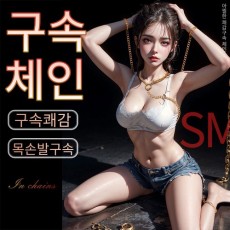 나비 SM B17 수족갑 목줄 체인구속 (NABI)