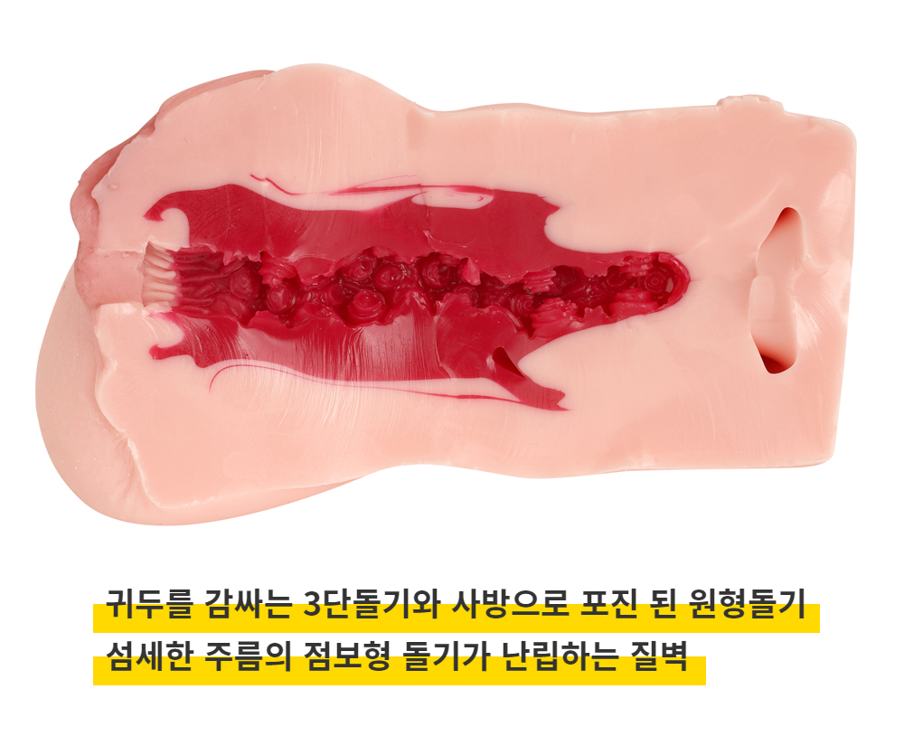 신 명기의 증명 002 - 미타니 아카리 (N.P.G) 상세 이미지 9