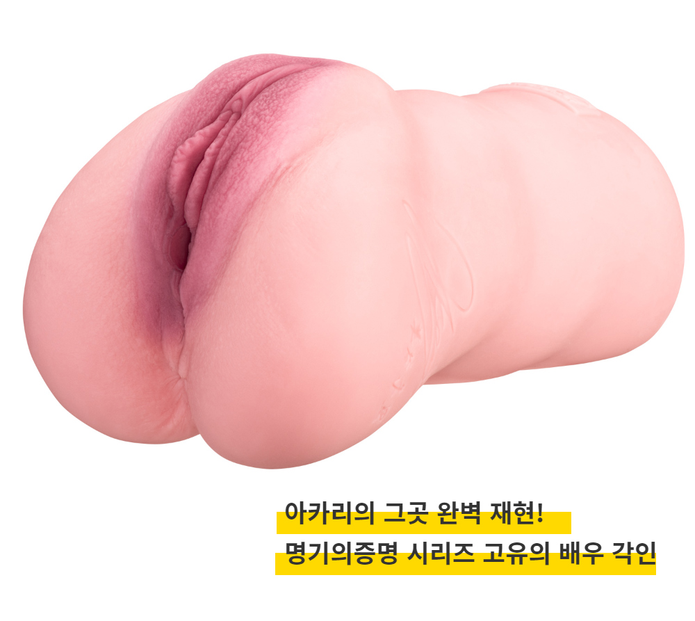 신 명기의 증명 002 - 미타니 아카리 (N.P.G) 상세 이미지 8