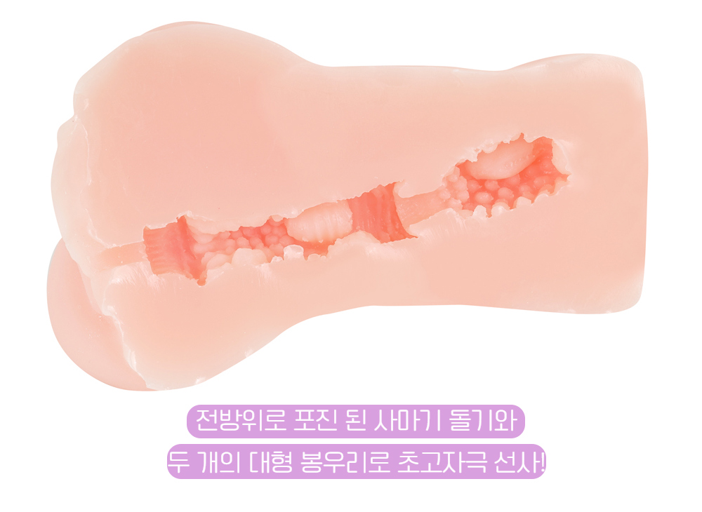 망상토이즈 숙녀로 하자 상세 이미지 5