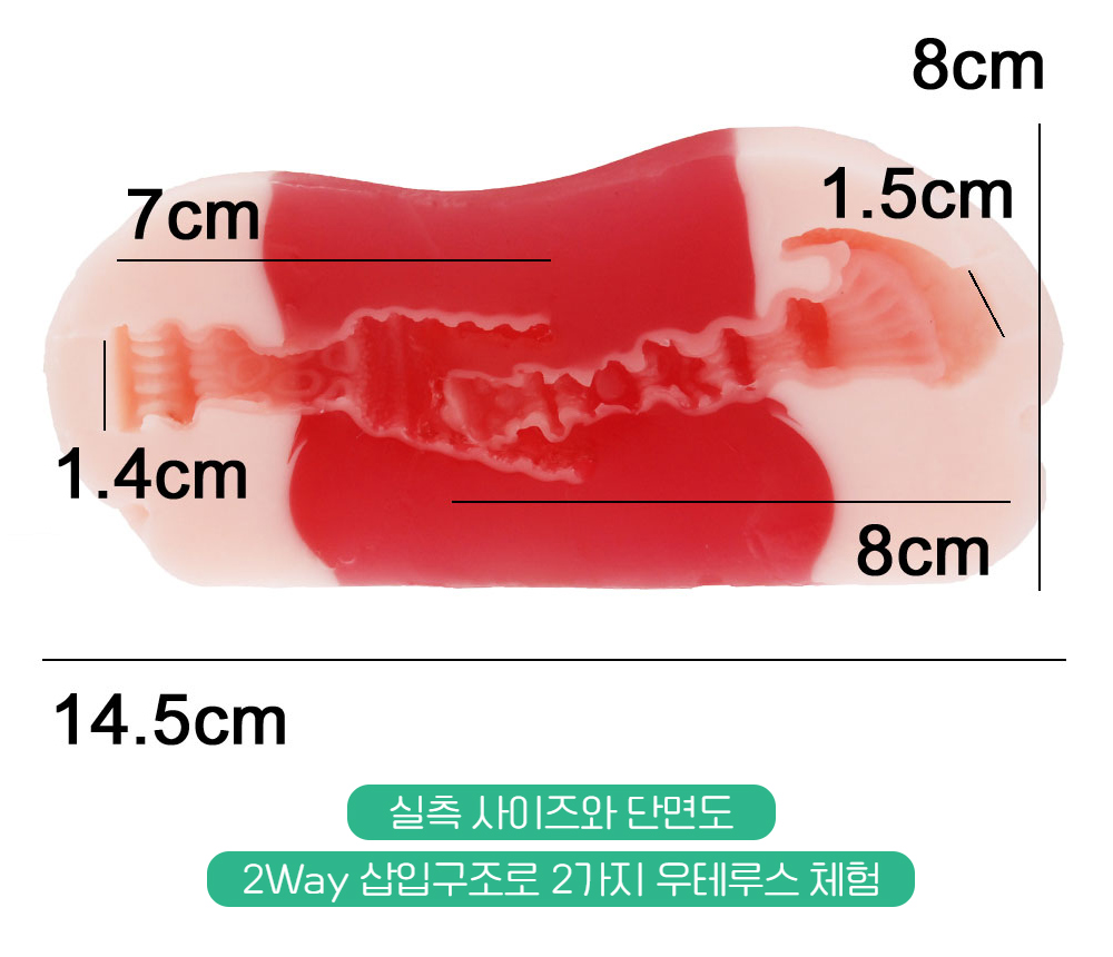 매직아이즈 극채 우테루스 듀오 상세 이미지 3