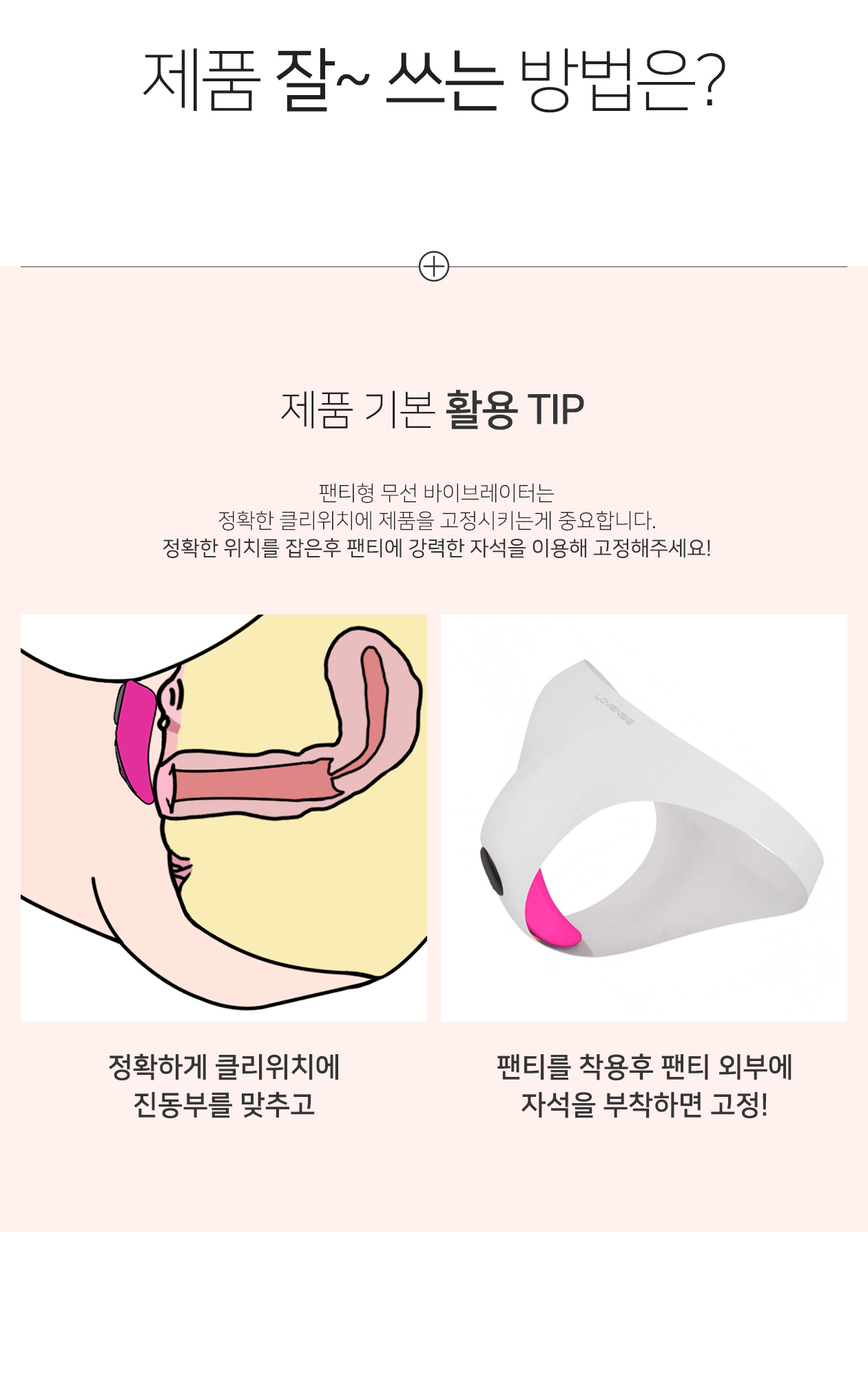 러벤스 페리 상세 이미지 9