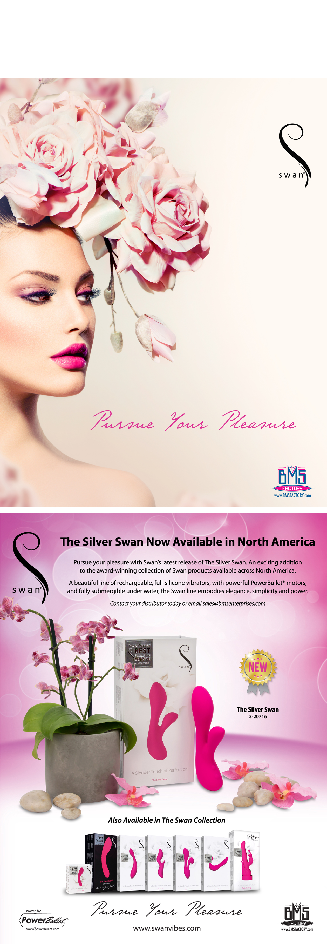 THE MUTE SWAN 상세 이미지 1