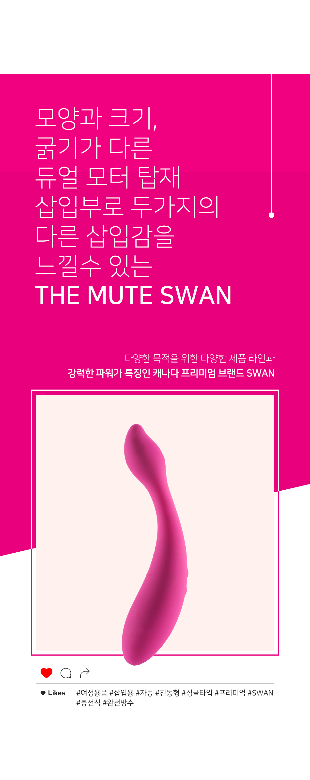 THE MUTE SWAN 상세 이미지 2