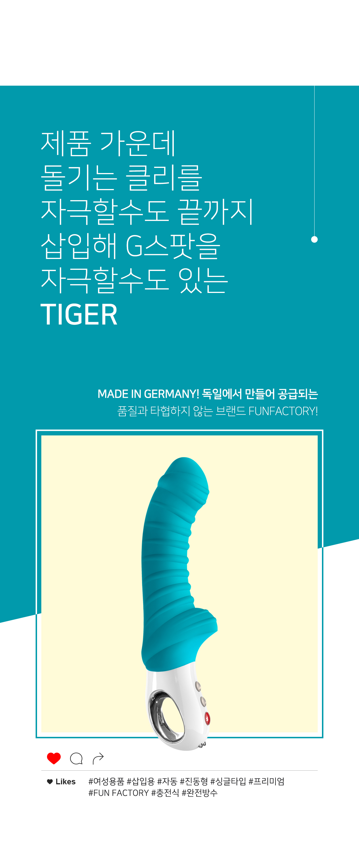 TIGER 상세 이미지 3