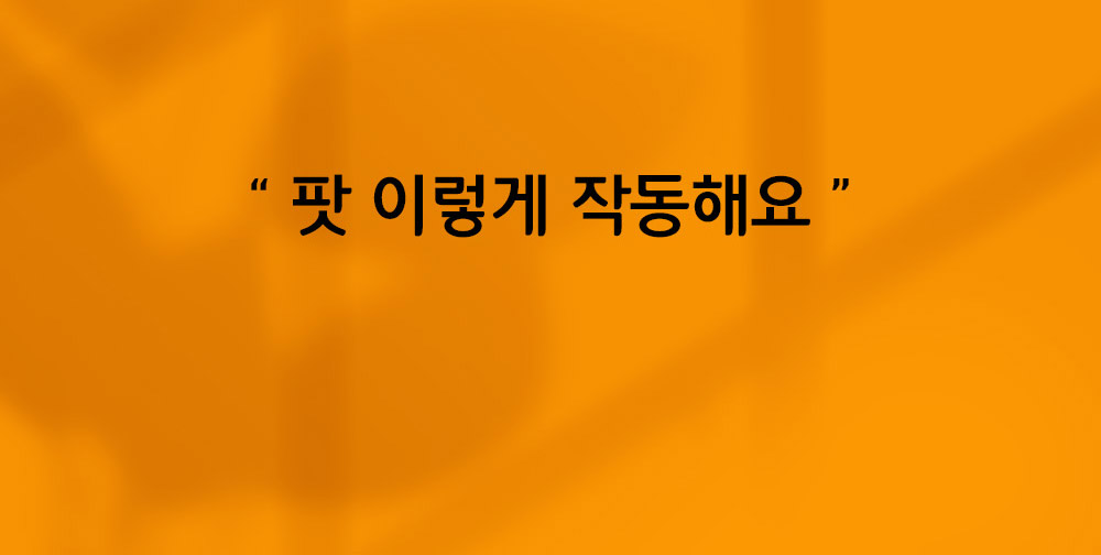 마페토 선인장 상세 이미지 5