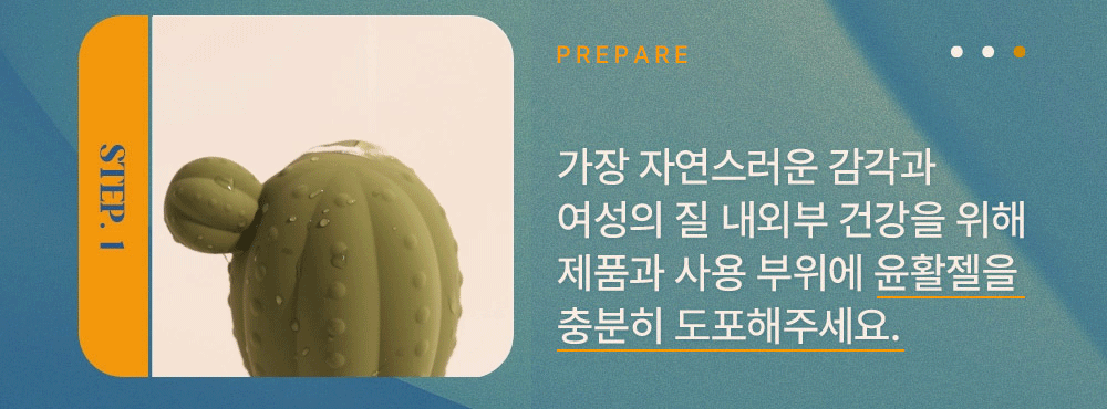 마페토 선인장 상세 이미지 8