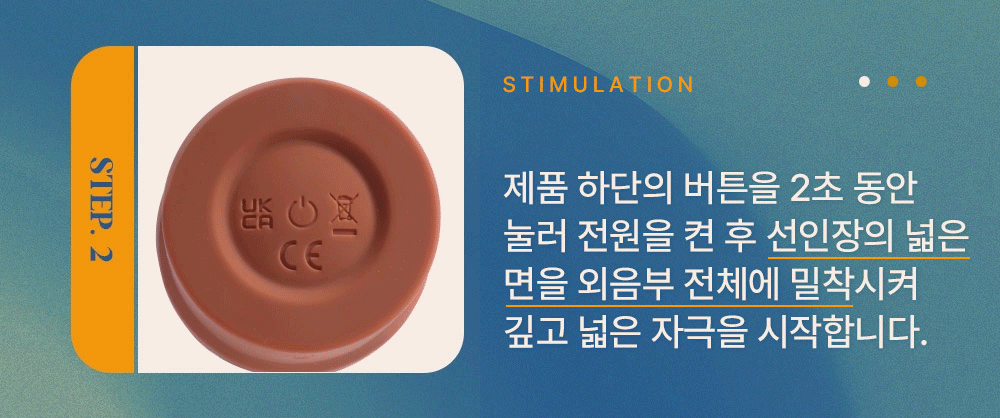 마페토 선인장 상세 이미지 9