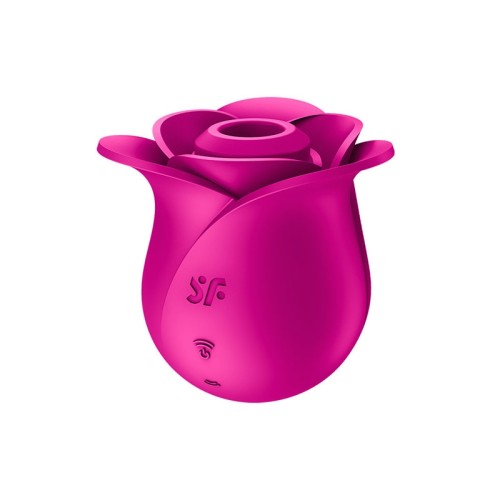 PRO 2 MODERN BLOSSOM NEW 이미지 7