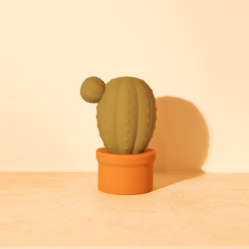 마페토 선인장 이미지 9