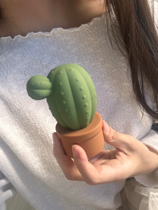 main_thumbnail_그냥 둬도 안 민망한 마페토 선인장 써본 후기