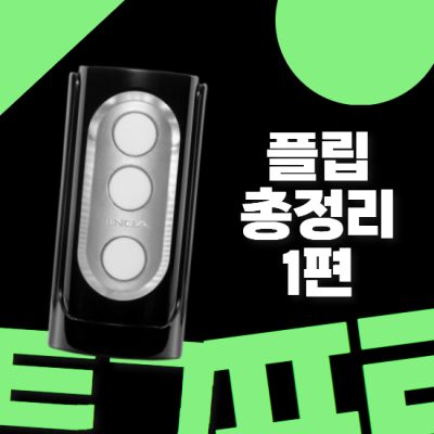 텐가 플립 시리즈 총정리 1편 (플립홀 제로 그래비티 오브)